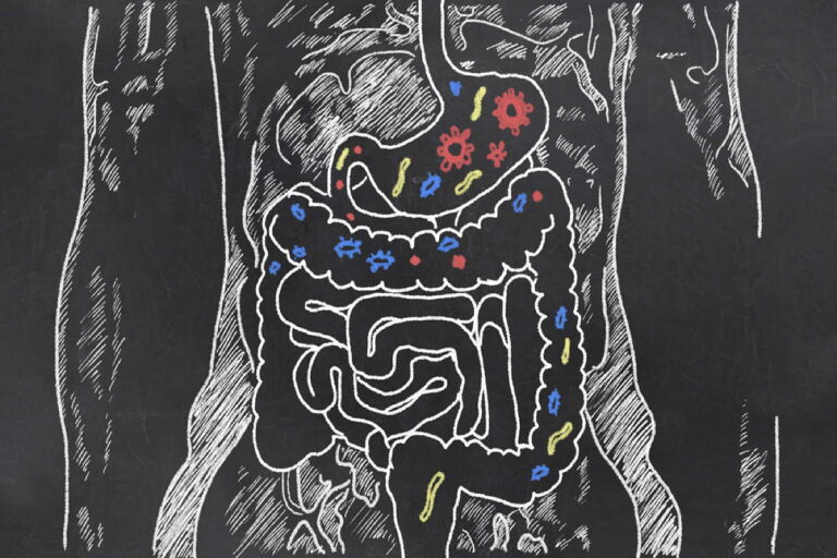 Build up intestinal flora after antibiotics – here’s how